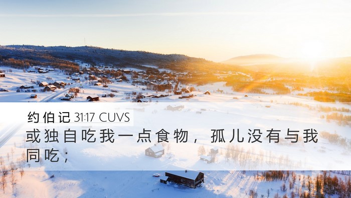 约 伯 记 31:17 CUVS Bible Verse Image