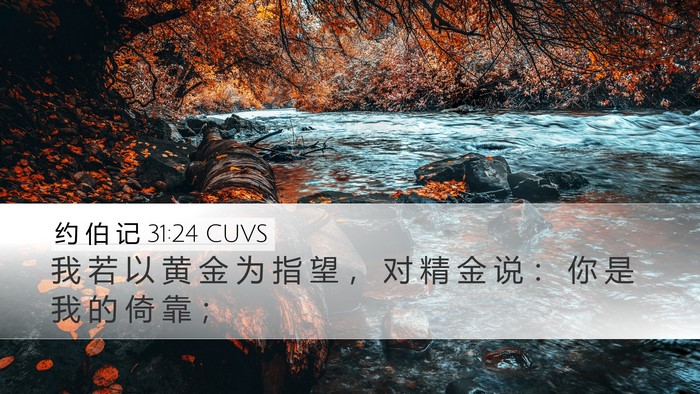 约 伯 记 31:24 CUVS Bible Verse Image