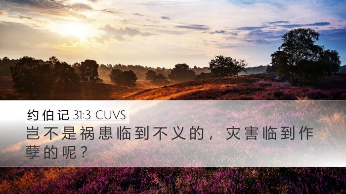 约 伯 记 31:3 CUVS Bible Verse Image