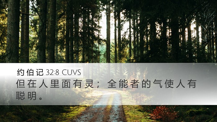 约 伯 记 32:8 CUVS Bible Verse Image