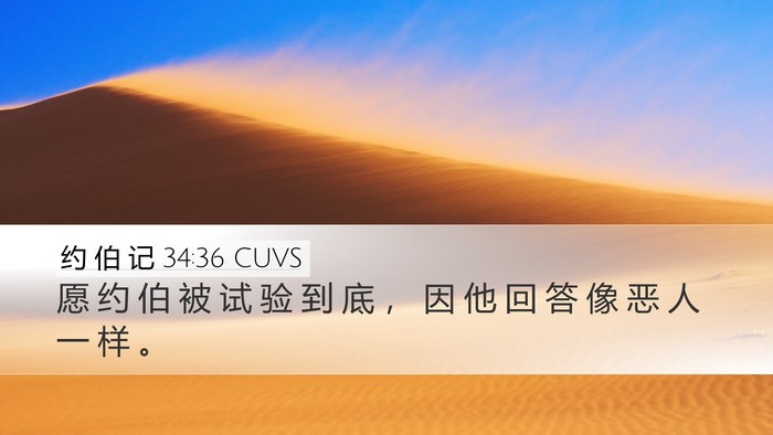 约 伯 记 34:36 CUVS Bible Verse Image