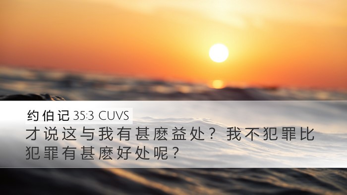 约 伯 记 35:3 CUVS Bible Verse Image