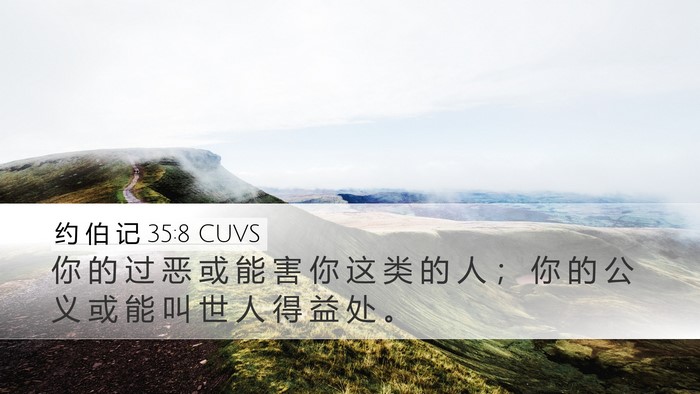约 伯 记 35:8 CUVS Desktop Wallpaper - 你 的 过 恶 或 能 害 你 这 类 的 人 - Desktop Bible Verse Wallpaper