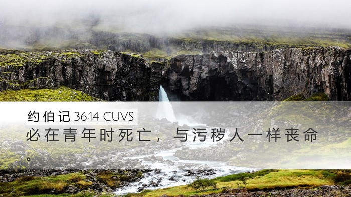 约 伯 记 36:14 CUVS Bible Verse Image