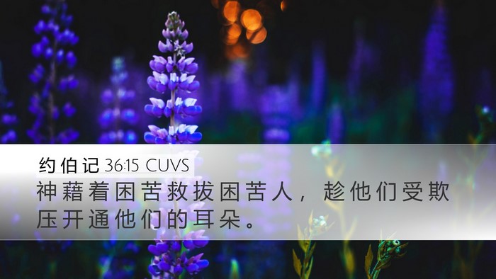约 伯 记 36:15 CUVS Bible Verse Image