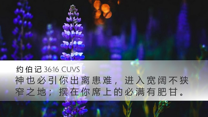 约 伯 记 36:16 CUVS Bible Verse Image