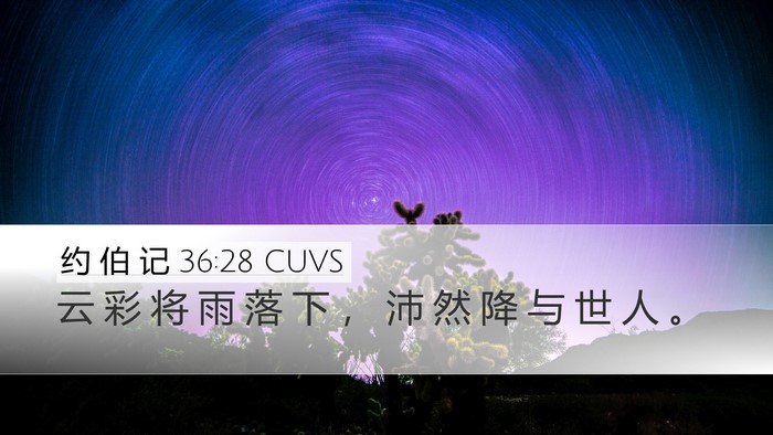 约 伯 记 36:28 CUVS Bible Verse Image