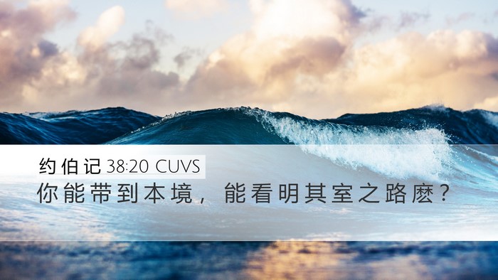 约 伯 记 38:20 CUVS Desktop Wallpaper - 你 能 带 到 本 境 ， 能 看 明 其 室 - Desktop Bible Verse Wallpaper