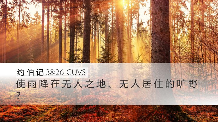 约 伯 记 38:26 CUVS Bible Verse Image
