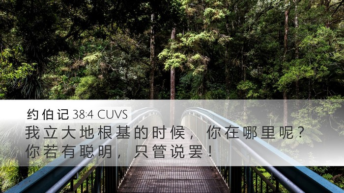 约 伯 记 38:4 CUVS Bible Verse Image