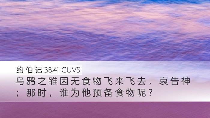 约 伯 记 38:41 CUVS Bible Verse Image