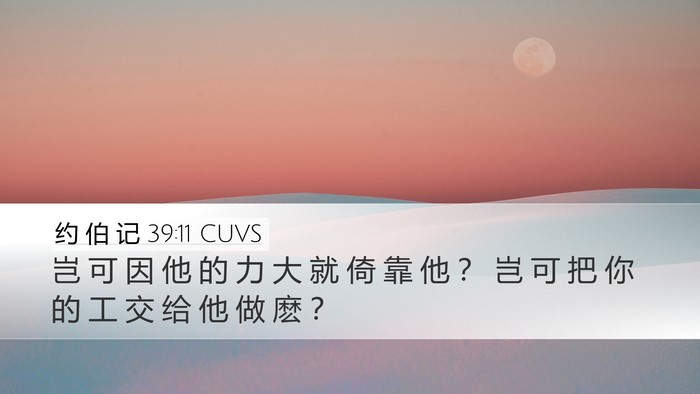 约 伯 记 39:11 CUVS Desktop Wallpaper - 岂 可 因 他 的 力 大 就 倚 靠 他 ？ - Desktop Bible Verse Wallpaper