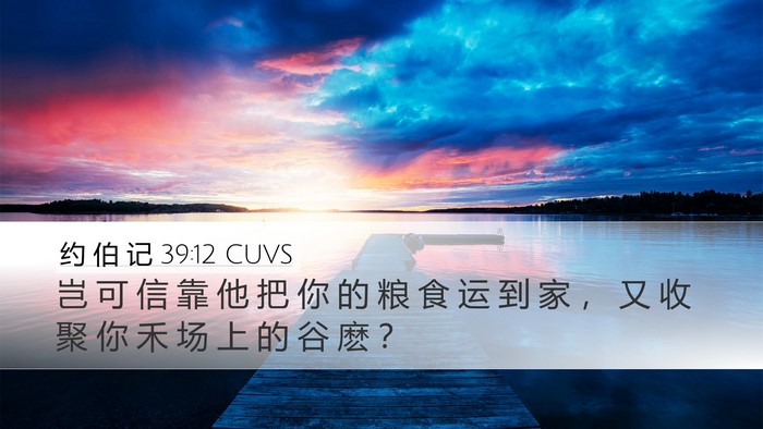 约 伯 记 39:12 CUVS Desktop Wallpaper - 岂 可 信 靠 他 把 你 的 粮 食 运 到 - Desktop Bible Verse Wallpaper