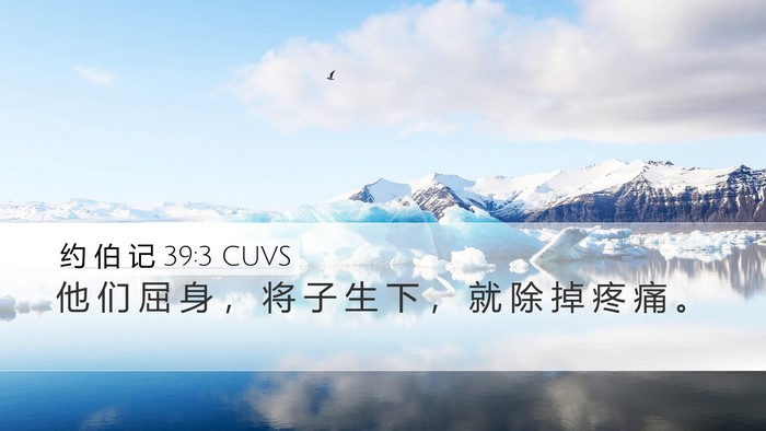 约 伯 记 39:3 CUVS Desktop Wallpaper - 他 们 屈 身 ， 将 子 生 下 ， 就 除 - Desktop Bible Verse Wallpaper