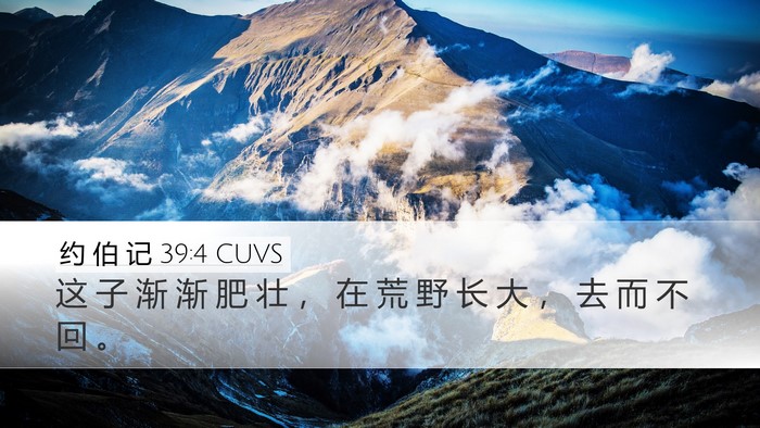 约 伯 记 39:4 CUVS Bible Verse Image