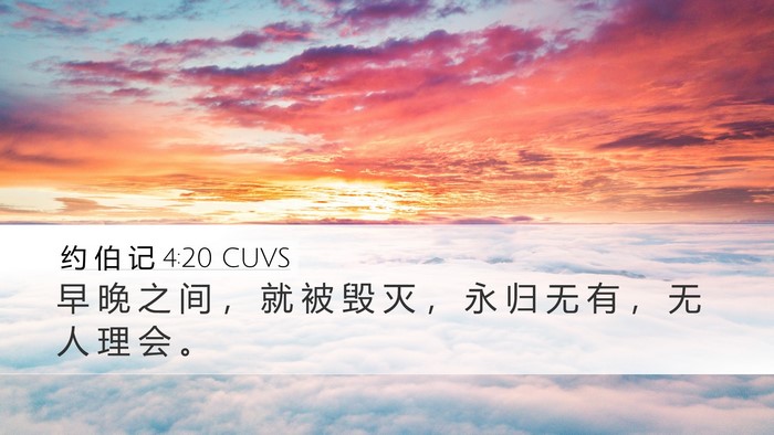 约 伯 记 4:20 CUVS Bible Verse Image