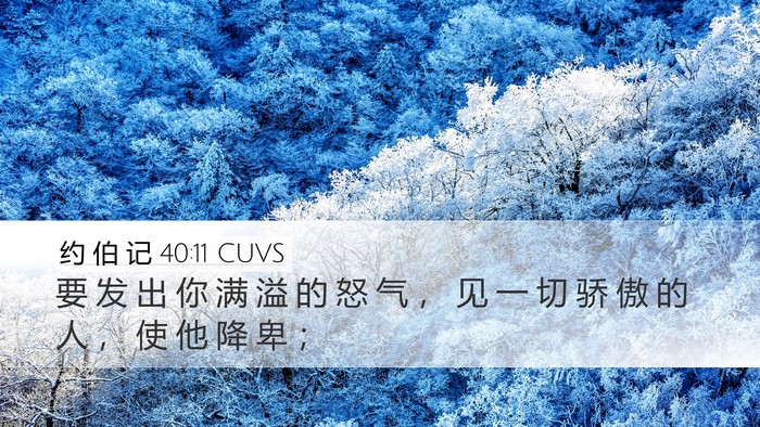 约 伯 记 40:11 CUVS Bible Verse Image