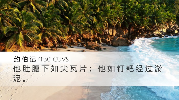 约 伯 记 41:30 CUVS Desktop Wallpaper - 他 肚 腹 下 如 尖 瓦 片 ； 他 如 钉 - Desktop Bible Verse Wallpaper