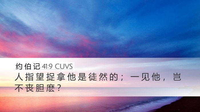 约 伯 记 41:9 CUVS Desktop Wallpaper - 人 指 望 捉 拿 他 是 徒 然 的 ； 一 - Desktop Bible Verse Wallpaper
