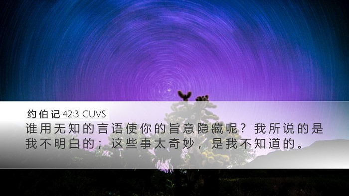 约 伯 记 42:3 CUVS Bible Verse Image
