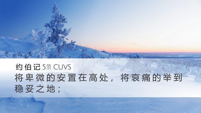 约 伯 记 5:11 CUVS Bible Verse Image