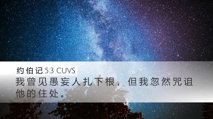 约 伯 记 5:3 CUVS Bible Verse Image