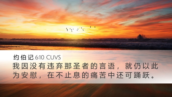 约 伯 记 6:10 CUVS Bible Verse Image