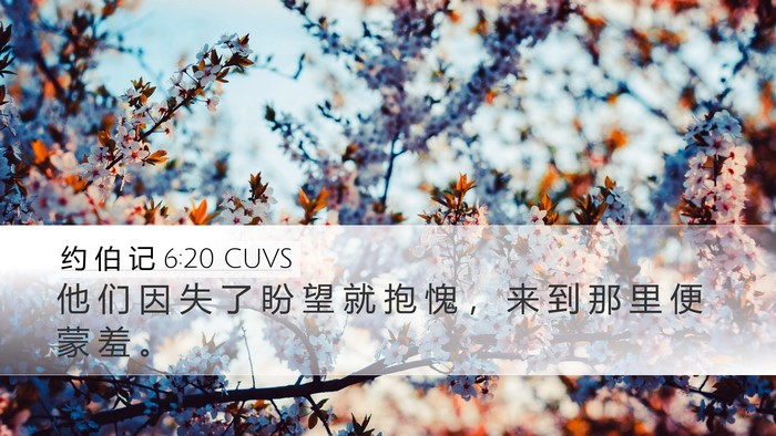 约 伯 记 6:20 CUVS Bible Verse Image