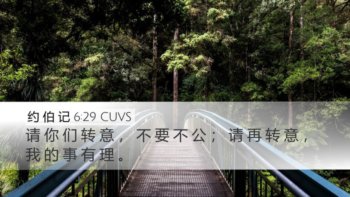 约 伯 记 6:29 CUVS Bible Verse Image