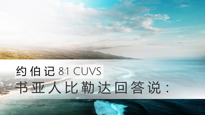 约 伯 记 8:1 CUVS Bible Verse Image