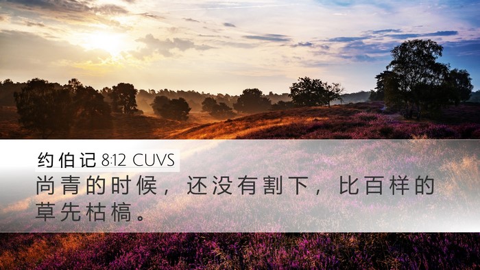约 伯 记 8:12 CUVS Bible Verse Image