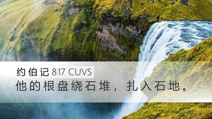 约 伯 记 8:17 CUVS Desktop Wallpaper - 他 的 根 盘 绕 石 堆 ， 扎 入 石 地 - Desktop Bible Verse Wallpaper