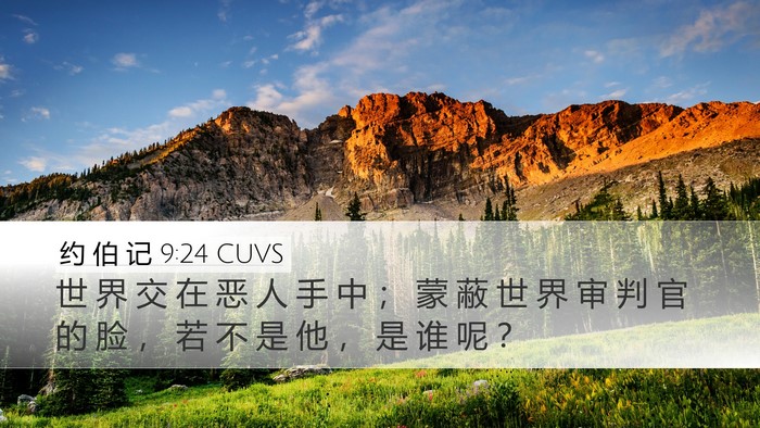 约 伯 记 9:24 CUVS Bible Verse Image