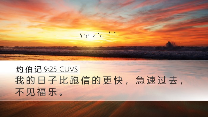 约 伯 记 9:25 CUVS Bible Verse Image