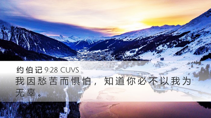 约 伯 记 9:28 CUVS Desktop Wallpaper - 我 因 愁 苦 而 惧 怕 ， 知 道 你 必 - Desktop Bible Verse Wallpaper