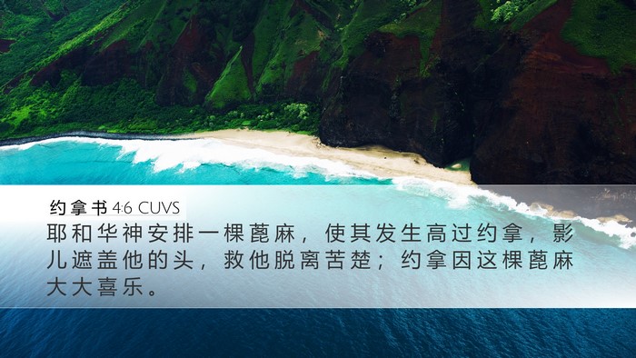 约 拿 书 4:6 CUVS Bible Verse Image