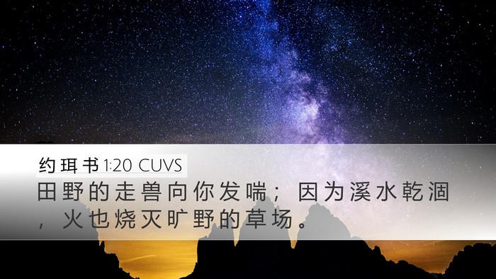 约 珥 书 1:20 CUVS Bible Verse Image