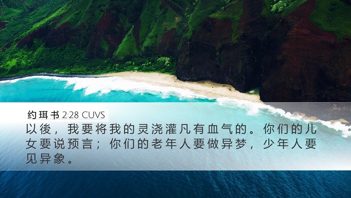 约 珥 书 2:28 CUVS Bible Verse Image