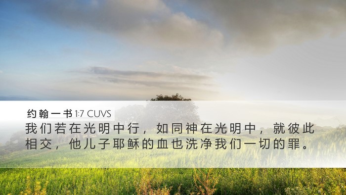 约 翰 一 书 1:7 CUVS Bible Verse Image