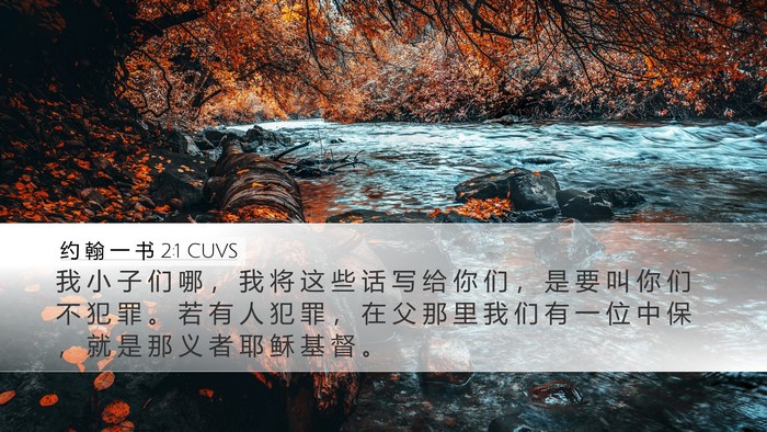 约 翰 一 书 2:1 CUVS Bible Verse Image