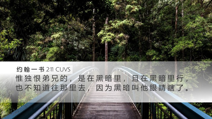 约 翰 一 书 2:11 CUVS Bible Verse Image