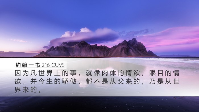 约 翰 一 书 2:16 CUVS Bible Verse Image