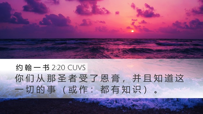 约 翰 一 书 2:20 CUVS Bible Verse Image