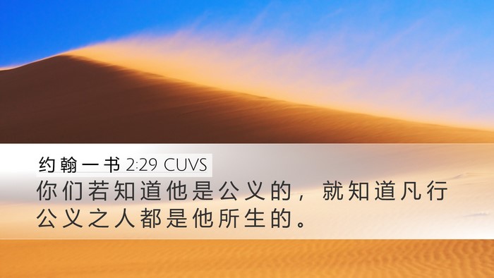 约 翰 一 书 2:29 CUVS Bible Verse Image