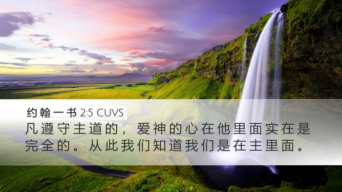 约 翰 一 书 2:5 CUVS Bible Verse Image