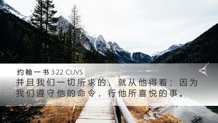 约 翰 一 书 3:22 CUVS Bible Verse Image