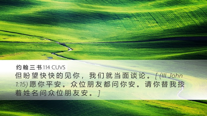 约 翰 三 书 1:14 CUVS Bible Verse Image