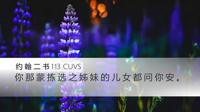 约 翰 二 书 1:13 CUVS Bible Verse Image