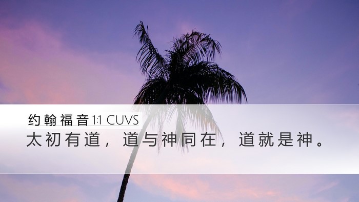 约 翰 福 音 1:1 CUVS Bible Verse Image