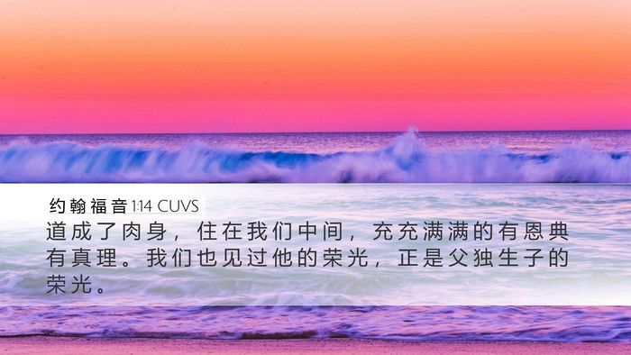 约 翰 福 音 1:14 CUVS Bible Verse Image